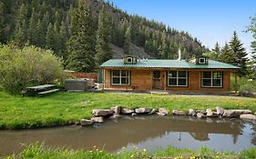 Ponderosa